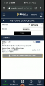 Captura de pantalla de un celular

Descripción generada automáticamente